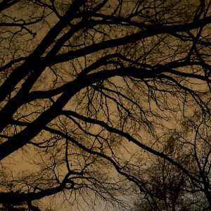 Spooky sky at night in Williamsburg, Virginia on a ghost tour
